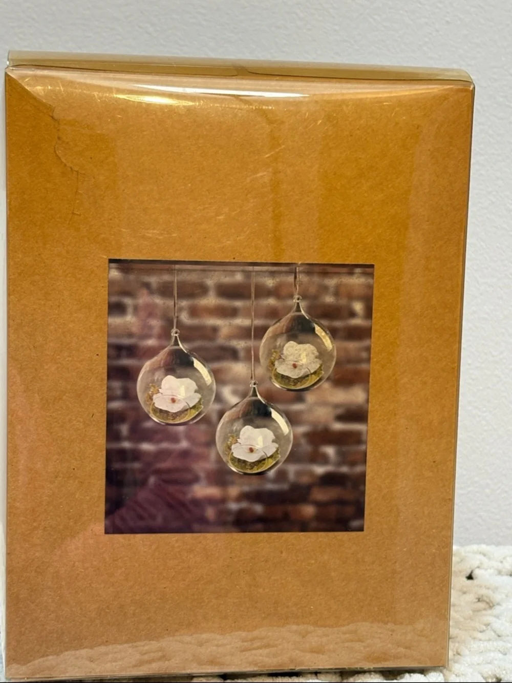 Clear Glass Orb Hanging Terrarium with White Flower Accent